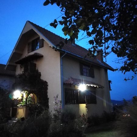 B&B Jonovic Donji Milanovac Exteriér fotografie
