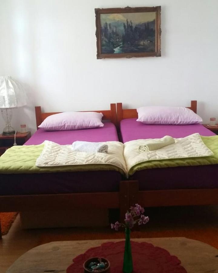 B&B Jonovic Donji Milanovac Exteriér fotografie