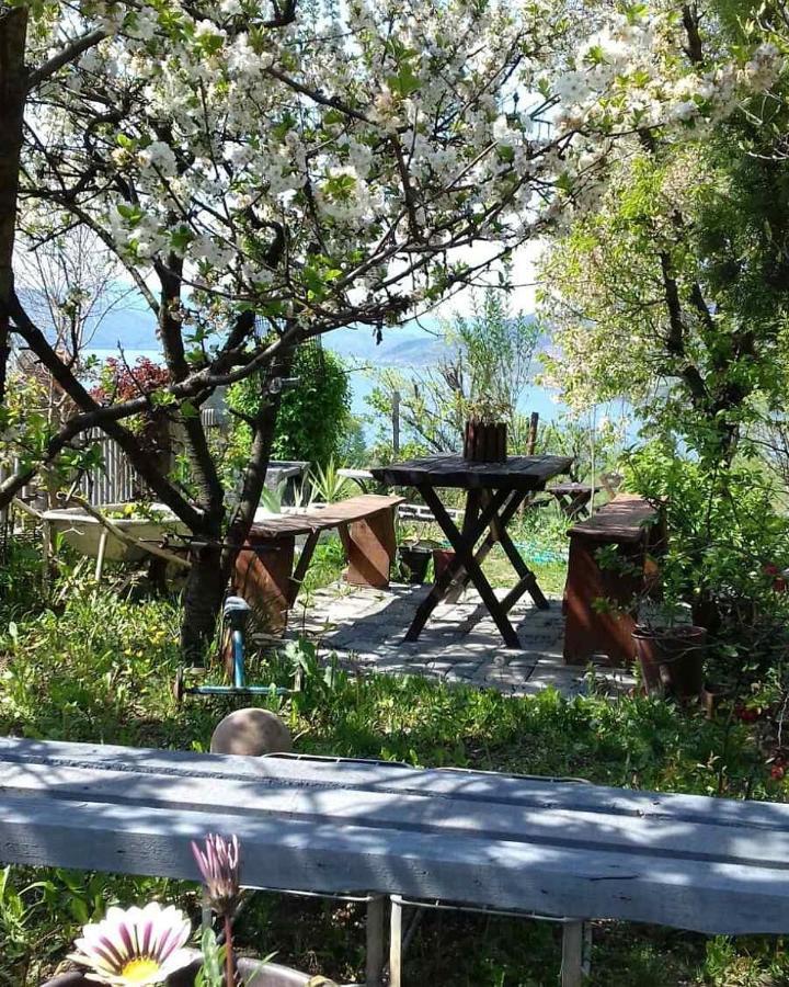 B&B Jonovic Donji Milanovac Exteriér fotografie