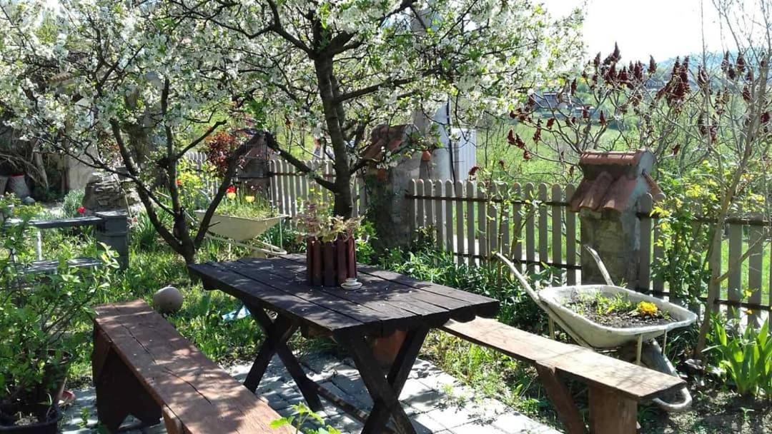 B&B Jonovic Donji Milanovac Exteriér fotografie