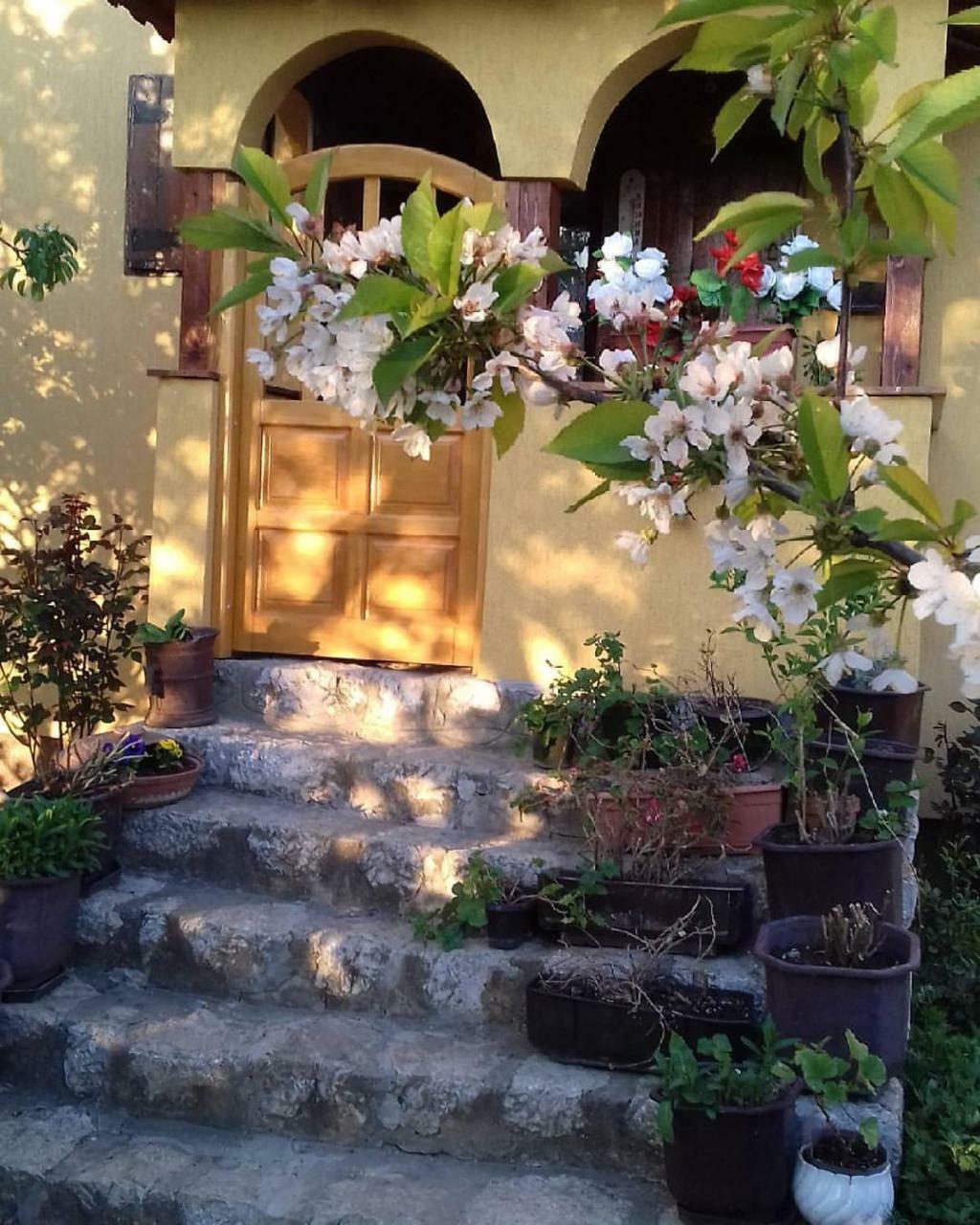 B&B Jonovic Donji Milanovac Exteriér fotografie