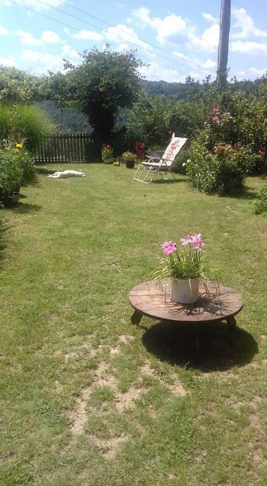 B&B Jonovic Donji Milanovac Exteriér fotografie