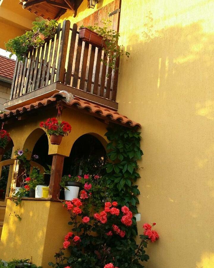 B&B Jonovic Donji Milanovac Exteriér fotografie
