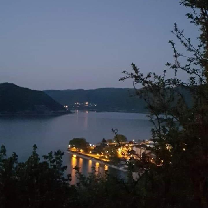 B&B Jonovic Donji Milanovac Exteriér fotografie
