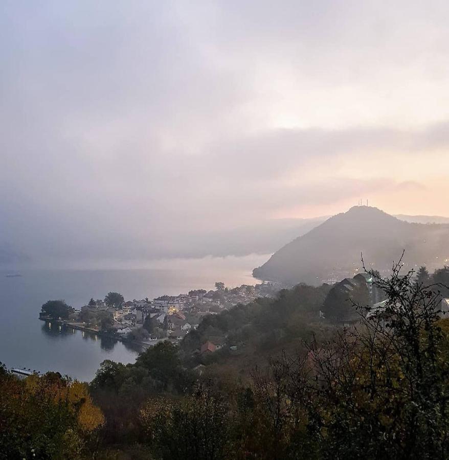 B&B Jonovic Donji Milanovac Exteriér fotografie